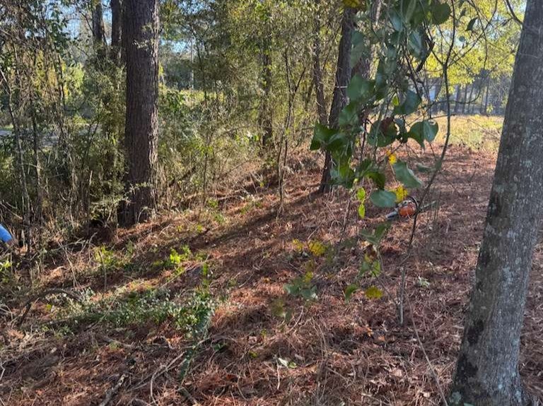 Santana Lawn Care  LLC